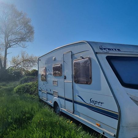Falsterly Glamping Horbelöv Exteriör bild